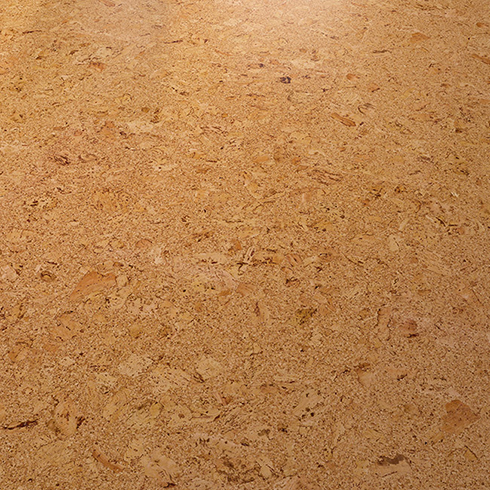 Wicanders Cork Essence Originals Shell O824003 floating floor 490x490 Wicanders Cork Essence Originals Shell O824003 floating floor