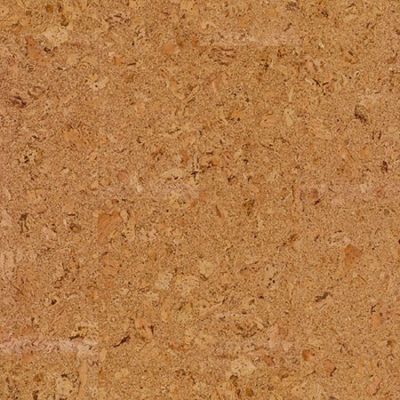 Wicanders Cork Essence Originals Shell O824003 floating floor